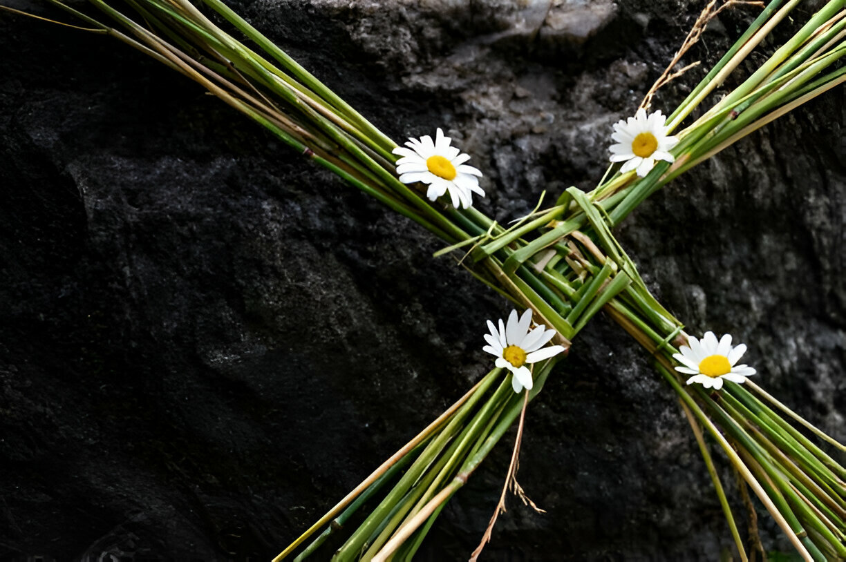 Saint Brigids Cross Irish pagan symbol of house blessing protection from evil and fire. Traditionally made in Ireland on Imbolc first day of Spring St Brigids feast day.